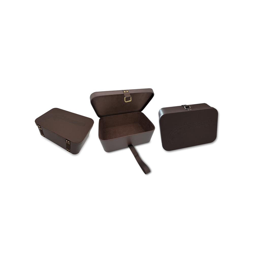 Pistol storage and carry on travel case with lock by GOOROO