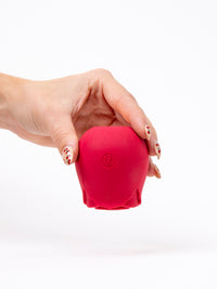 suction sex toy, la rosa silicone pleasure product for women
